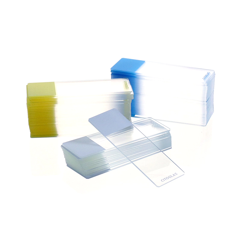 Microscope Slide-1