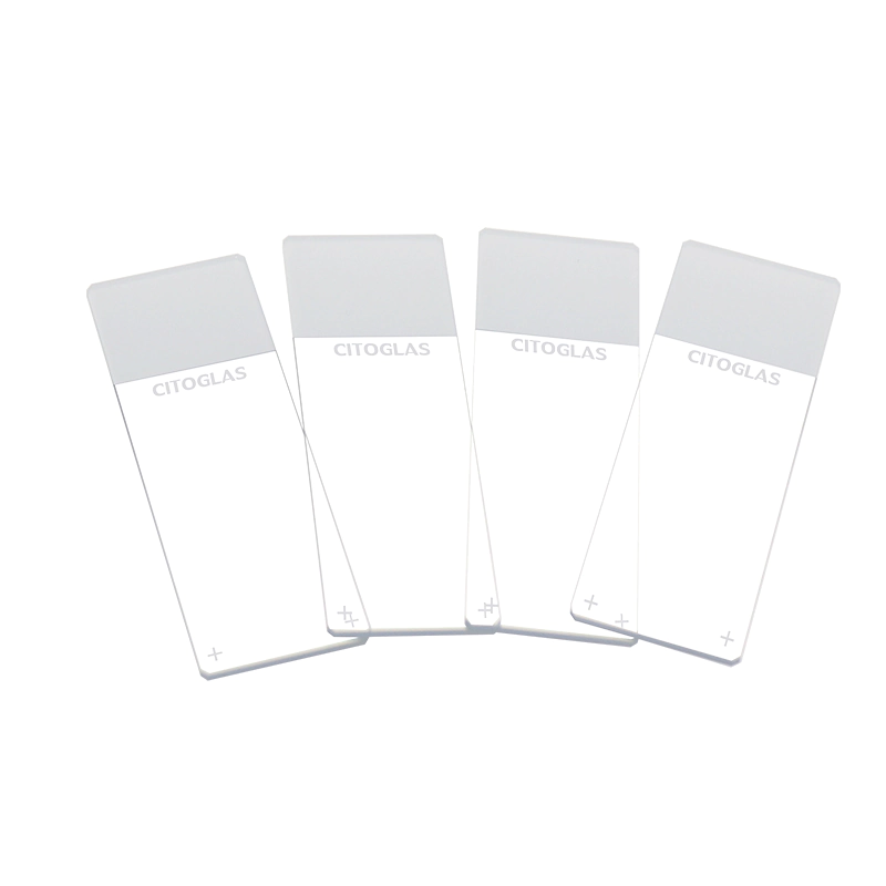 Microscope Slides Plus-3